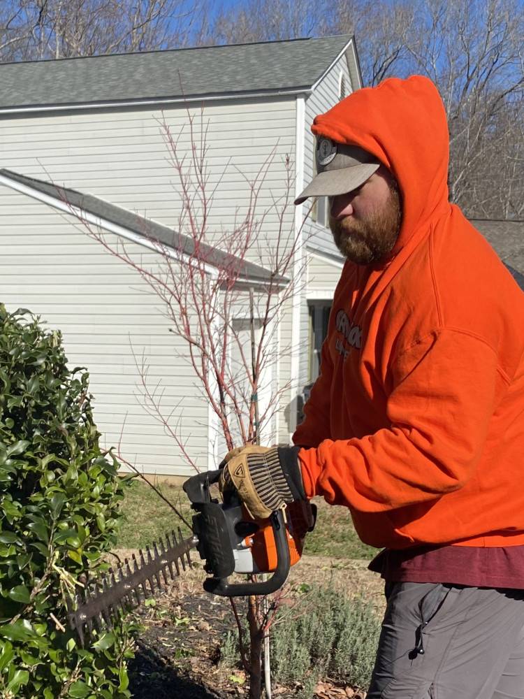 Trey trimming hedges